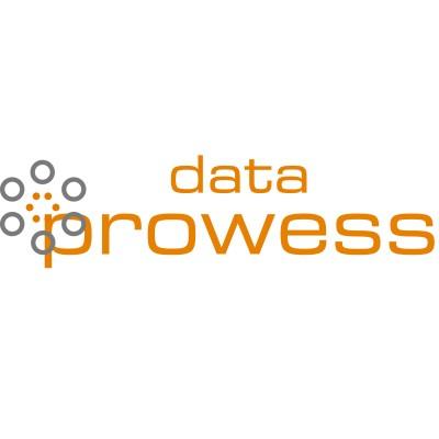 Data Prowess's Logo