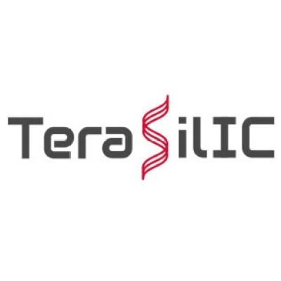TeraSilIC CO. LTD. Logo