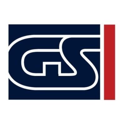 Global Surveys (GS)'s Logo