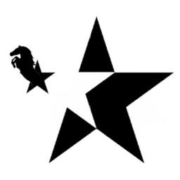 Star Chem Logo