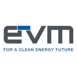 EV Metals Group Logo