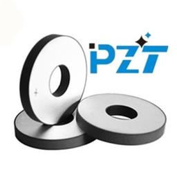 PZT ELECTRONIC CERAMIC CO.LTD Logo