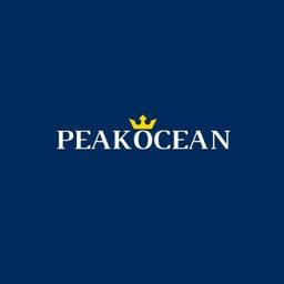 Peak Ocean Pte Ltd / EA 18C9336 Logo