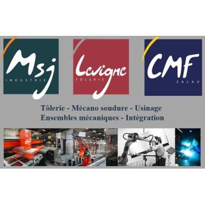 Groupe MSJ Industrie-Levigne-CMF Zalau Logo