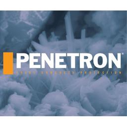 Penetron International Logo