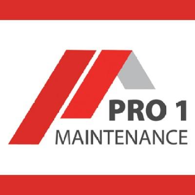 Pro 1 Maintenance Logo