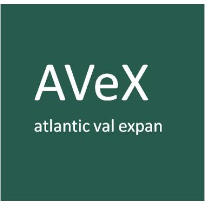 AVeX Partners Logo