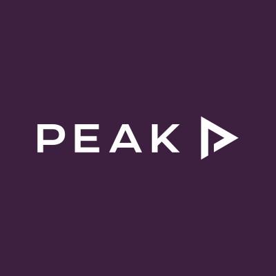 Peak Processing Solutions Logo