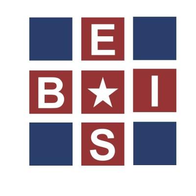 Best Expert InSight ( BEIS ) Logo