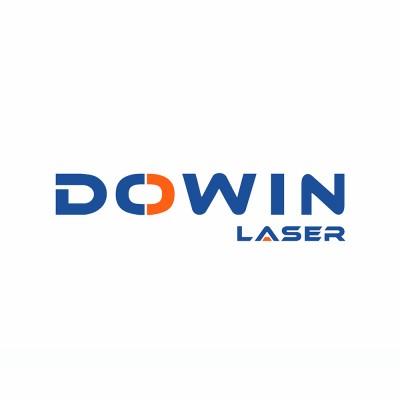 DOWIN TECHNOLOGY CO.LTD's Logo