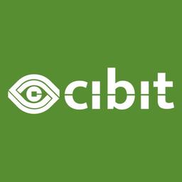 Cibit Logo