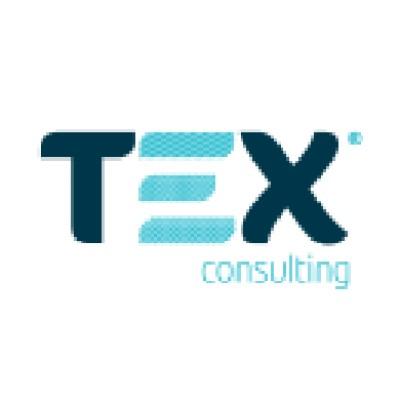 TEX Consulting Logo