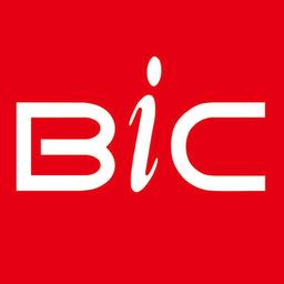 BIC GROUP Ltd Logo