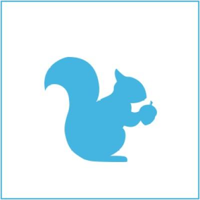 Squirrel: Digital Asset Management Solution Logo