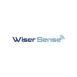 WiserSense Information Technologies Logo