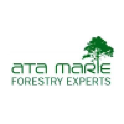 Ata Marie Group Ltd Logo