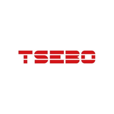 TSEBO Egypt Logo