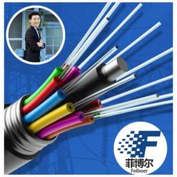 China Optical Fiber Cable Manufacturer_Fibra Optica_Patch cord_pigtail_PlcSplitter_OFC_ODF_OPC_SM_MM Logo