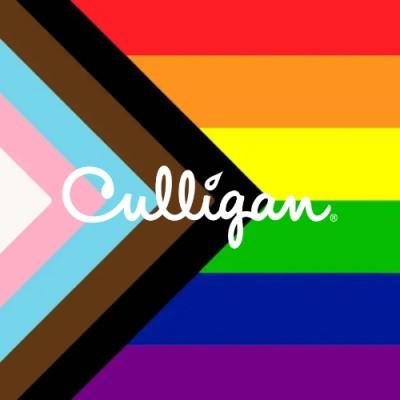 Culligan International Logo