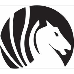 Pegasus Intelligence Ltd Logo