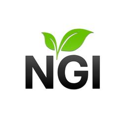 Nevada Green Institute Inc. Building Shared Value Logo