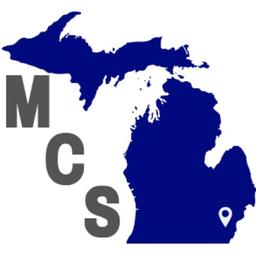 Michigan Consulting Services LLC Logo