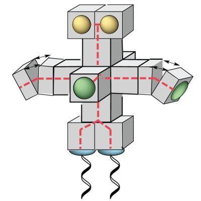 DNA-Robotics's Logo