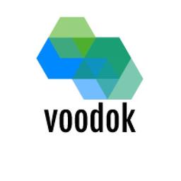 Voodok Technology Private Limited Logo