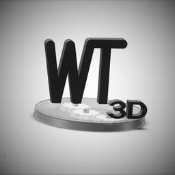 Wellstronics3D Logo