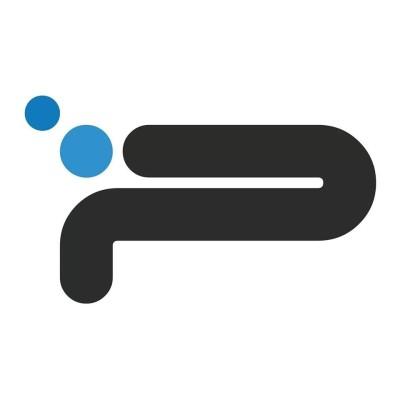 Polyvalent Digital Services Logo