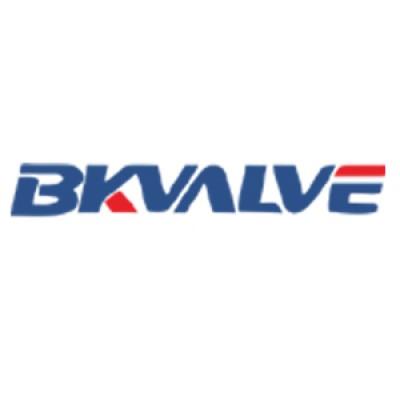 BKVALVE (BKVALVE Manufacturing Co. Ltd)'s Logo