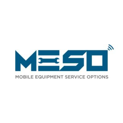 M.E.S.O. Inc. Logo