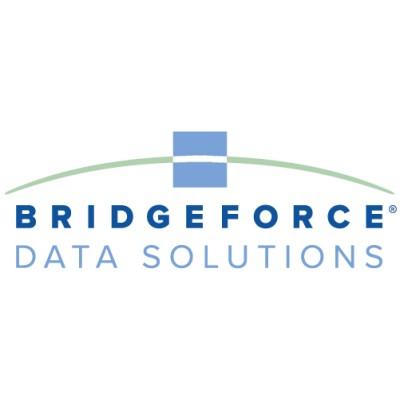 Bridgeforce Data Solutions Logo