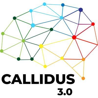 Callidus 3.0 Logo