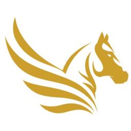 Pegasus Storage Logo