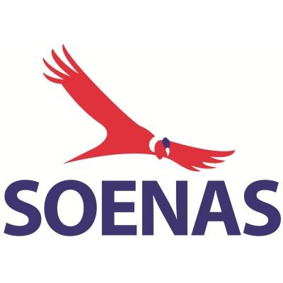 SOENAS Aviation consulting Logo