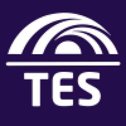 Tellis Executive Search - MBE WBE WOSB Certified Logo