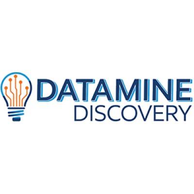 Datamine Discovery - eDiscovery Consulting & Project Management. A KEY Discovery Affiliate's Logo