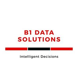 B1 Data Solutions Logo