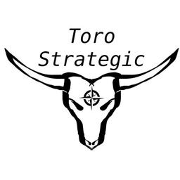 Toro Strategic Ltd Co Logo