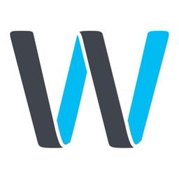WintWire Ltd Logo