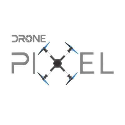 Drone Pixel / Data Drone Services Logo