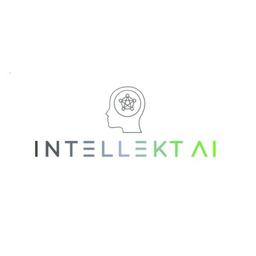 Intellekt AI LLP Logo