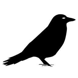 Crowlingo Logo