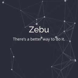 Zebu Intelligent Systems Logo