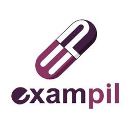 Exampil Solutions Pvt. Ltd. Logo