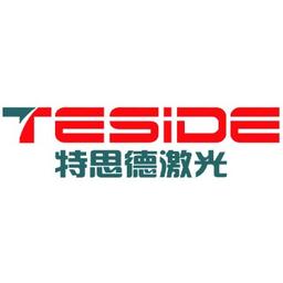 TSD Laser Equipment Co. Ltd. Shenzhen Logo