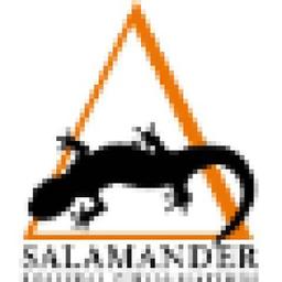 Salamander Business Visualisations Logo