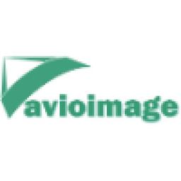 Avioimage Mapping Services Logo