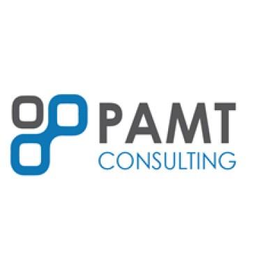 PAMT Consulting Inc Logo